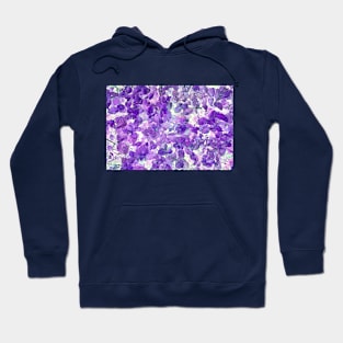 Peppermint Leaves Background Hoodie